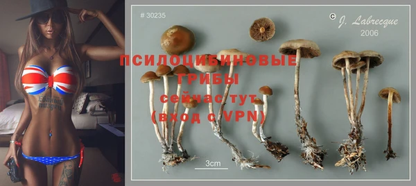 крисы Краснослободск