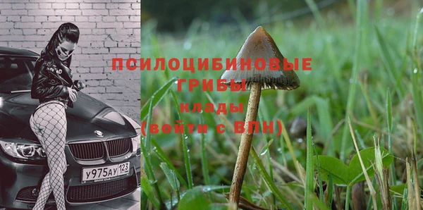 крисы Краснослободск