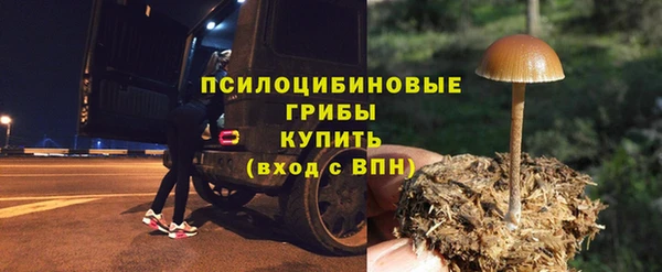крисы Краснослободск