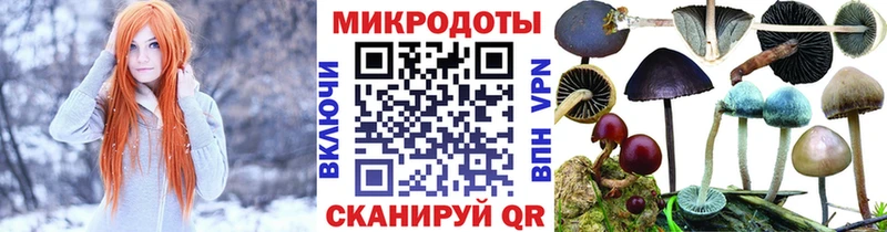 Купить  Теберда  Псилоцибиновые грибы Cubensis 